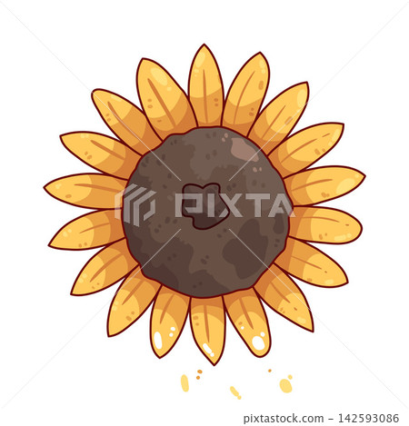 Illustration of Sunflower Illustration of Sunflower 142593086