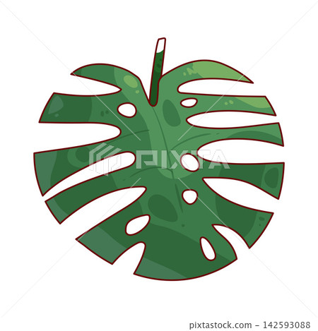 Illustration of Monstera leaf Illustration of Monstera leaf 142593088