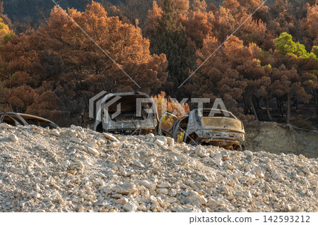 Burned abandoned cars amid wildfire damage on rocky hillside forest landscape Burned abandoned cars amid wildfire damage on rocky hillside forest landscape 142593212