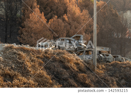 Burned vehicles rest on a hillside beside autumn trees in Croatia Burned vehicles rest on a hillside beside autumn trees in Croatia 142593215