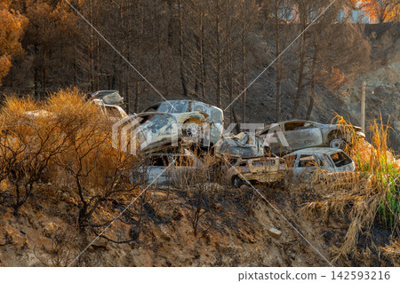 Burned cars stranded on a scorched hillside in Croatia Burned cars stranded on a scorched hillside in Croatia 142593216
