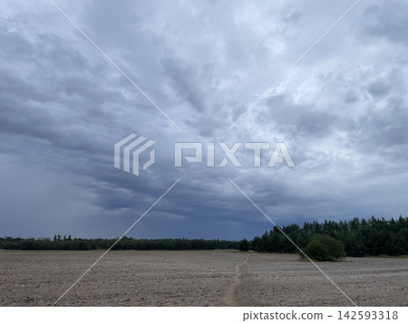 Panoramic field and forest in cloudy weather Panoramic field and forest in cloudy weather 142593318
