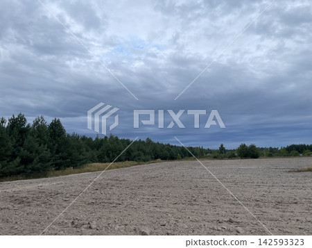 Panoramic field and forest in cloudy weather Panoramic field and forest in cloudy weather 142593323