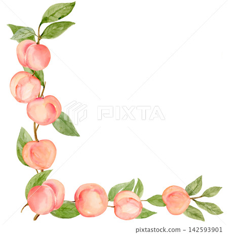 Ripe Peach Cluster Corner Border on Branch Watercolor Isolated Background Traditionally Hand Painted Ripe Peach Cluster Corner Border on Branch Watercolor Isolated Background Traditionally Hand Painted 142593901