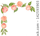 Watercolor Peach Corner Border on Branch Isolated Background Traditionally Hand Painted 142593903