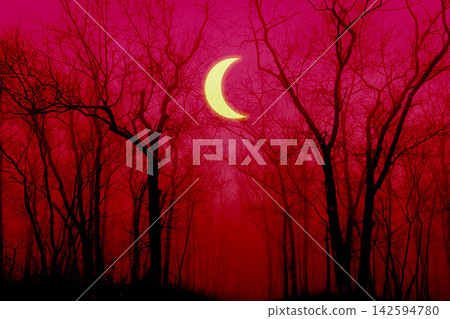 Red Night and Moon Red Night and Moon 142594780