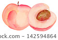Watercolor Peach Whole and Half Isolated Background Traditionally Hand Painted 142594864
