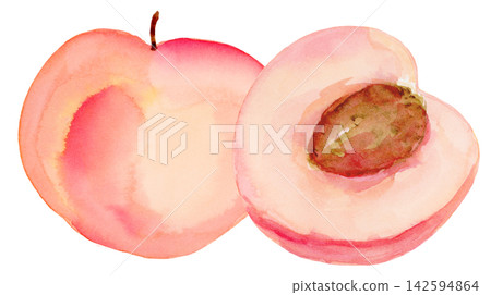 Watercolor Peach Whole and Half Isolated Background Traditionally Hand Painted Watercolor Peach Whole and Half Isolated Background Traditionally Hand Painted 142594864