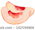 Watercolor Peach Slices Isolated Background Traditionally Hand Painted	 142594866