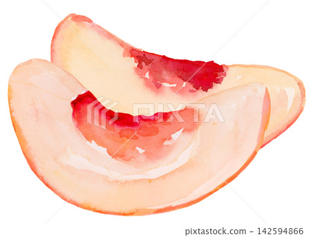 Watercolor Peach Slices Isolated Background Traditionally Hand Painted Watercolor Peach Slices Isolated Background Traditionally Hand Painted 142594866