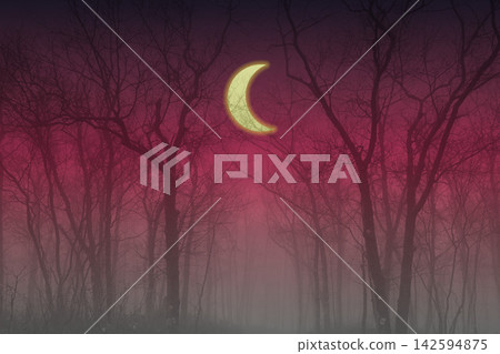 A night shrouded in mist A night shrouded in mist 142594875