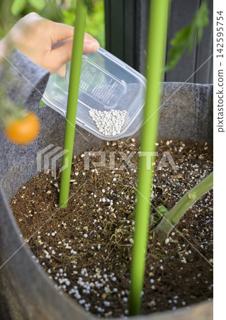 Apply additional fertilizer to vegetables. Apply additional fertilizer to vegetables. 142595754