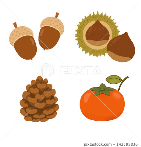 Autumn-themed material set of 4: acorns, chestnuts, pine cones, and persimmons (with transparent background) Autumn-themed material set of 4: acorns, chestnuts, pine cones, and persimmons (with transparent background) 142595836