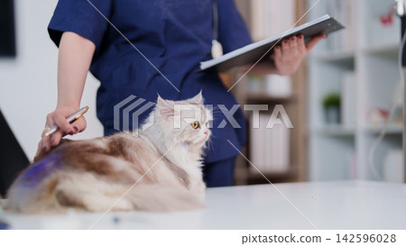 Cropped view of veterinarian with chart examining fluffy cat on table in pet clinic for health checkup Cropped view of veterinarian with chart examining fluffy cat on table in pet clinic for health checkup 142596028