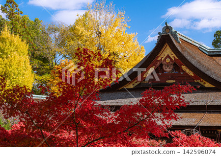 北野天滿宮在秋天 北野天滿宮在秋天 142596074