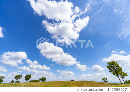 Summer blue sky, clouds, and grassland Summer blue sky, clouds, and grassland 142596917