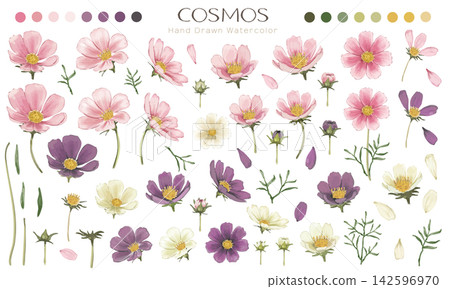 Cosmos watercolor parts set (pink, purple, white) Cosmos watercolor parts set (pink, purple, white) 142596970