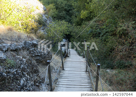 Wooden staircase through green woodland near Alquezar Spain Wooden staircase through green woodland near Alquezar Spain 142597044