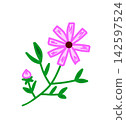 Cosmos 142597524