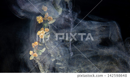 Yellow blossom branch suspended in shimmering cloud of iridescent particles against dark background Yellow blossom branch suspended in shimmering cloud of iridescent particles against dark background 142598648