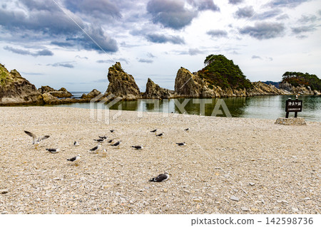 Scenery of Jodogahama Beach, Iwate Prefecture Scenery of Jodogahama Beach, Iwate Prefecture 142598736