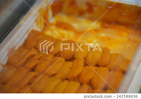 sea urchin sea urchin 142598836