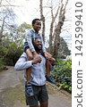 African American dad carrying son on shoulders walking paved park path in hoodies sneakers 142599410
