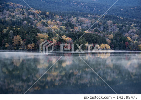 晨霧籠罩湖面,營造出夢幻般的景象。 晨霧籠罩湖面,營造出夢幻般的景象。 142599475