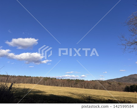 A clear blue sky and white clouds spread across a grassy plain (copy space available) A clear blue sky and white clouds spread across a grassy plain (copy space available) 142599584