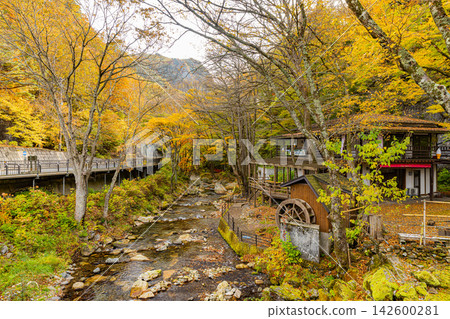 Autumn foliage scenery in Iwaizumi Town, Iwate Prefecture Autumn foliage scenery in Iwaizumi Town, Iwate Prefecture 142600281