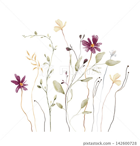 Watercolor Wildflower Meadow Bouquet. Deep Magenta Daisy Flowers, Pale Cream Blossoms, Seed Heads and Sage Green Foliage on White Background. Hand drawn illustration in the style Cottagecore Watercolor Wildflower Meadow Bouquet. Deep Magenta Daisy Flowers, Pale Cream Blossoms, Seed Heads and Sage Green Foliage on White Background. Hand drawn illustration in the style Cottagecore 142600728