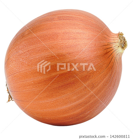 Photo of a natural orange onion head isolated on a white background with clipped path, side view. Blank for artwork Photo of a natural orange onion head isolated on a white background with clipped path, side view. Blank for artwork 142600811