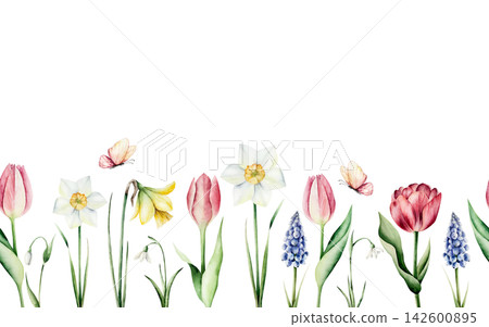 Watercolor spring flowers seamless border. Botanical background with tulip, daffodil, butterfly and blank copy space isolated on white. Endless spring meadow texture for Easter greeting card, wallpape Watercolor spring flowers seamless border. Botanical background with tulip, daffodil, butterfly and blank copy space isolated on white. Endless spring meadow texture for Easter greeting card, wallpape 142600895