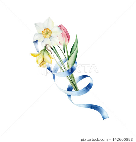 Watercolor spring flowers bouquet with blue ribbon. Hand drawn botanical illustration isolated on white background for Mothers Day greeting card. Elegant tulip and daffodils arrangement. Festive sprin Watercolor spring flowers bouquet with blue ribbon. Hand drawn botanical illustration isolated on white background for Mothers Day greeting card. Elegant tulip and daffodils arrangement. Festive sprin 142600898