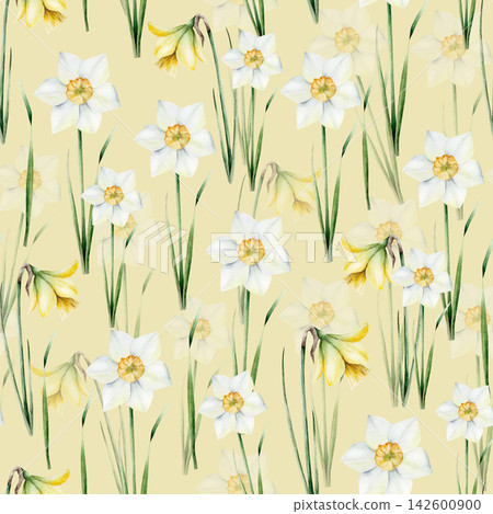 Spring daffodils flower. Watercolor Narcissus, easter hand drawn illustration isolated on background, transparent png. Botanical and wedding clip art. For greeting card, wallpaper, wrapping paper Spring daffodils flower. Watercolor Narcissus, easter hand drawn illustration isolated on background, transparent png. Botanical and wedding clip art. For greeting card, wallpaper, wrapping paper 142600900