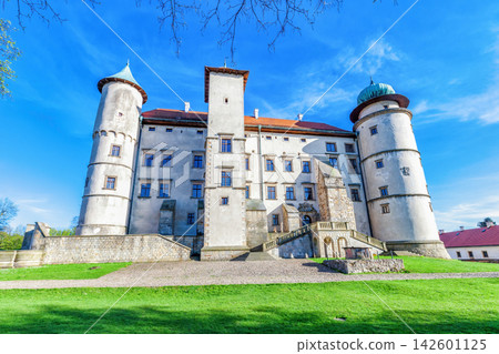 Medieval Magnate Castle Nowy Wisnicz by blue sky in Poland. Old antique palace with tower and green lawn in Malopolska region Medieval Magnate Castle Nowy Wisnicz by blue sky in Poland. Old antique palace with tower and green lawn in Malopolska region 142601125
