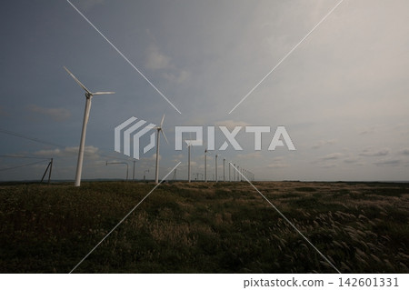 Otonrui Wind Power Plant in Horonobe Town, Hokkaido, late summer (horizontal view) 142601331