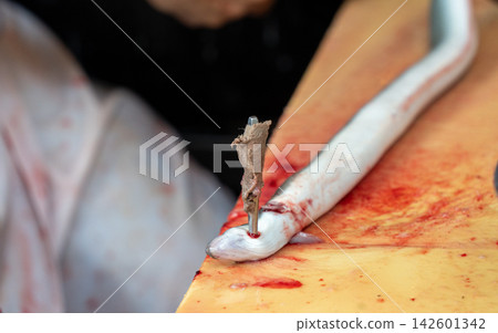 The hands of a chef preparing an eel The hands of a chef preparing an eel 142601342
