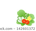 Salad - cherry tomatoes, cucumber, lemon, radish sprouts, lettuce 142601372