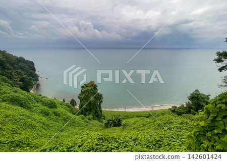 Famous scenic view from botanical garden of sea bay on Black sea coast with lush green vegetation  142601424