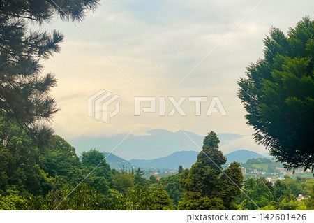 Beautiful nature green lush and mountain with cloudy sky in the botanical garden Beautiful nature green lush and mountain with cloudy sky in the botanical garden 142601426