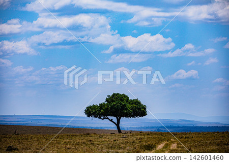 Kenya Photographers By Antony Trivet Photography Kenya Photographers By Antony Trivet Photography 142601460