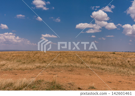 Kenya Photographers By Antony Trivet Photography 142601461