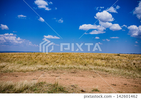 Kenya Photographers By Antony Trivet Photography 142601462