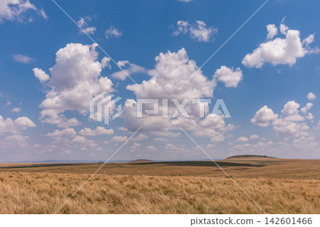 Kenya Photographers By Antony Trivet Photography Kenya Photographers By Antony Trivet Photography 142601466