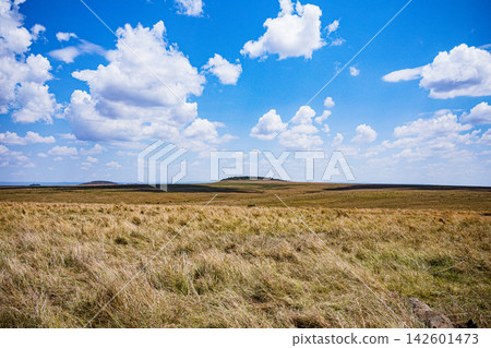 Kenya Photographers By Antony Trivet Photography Kenya Photographers By Antony Trivet Photography 142601473