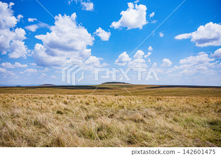 Kenya Photographers By Antony Trivet Photography Kenya Photographers By Antony Trivet Photography 142601475