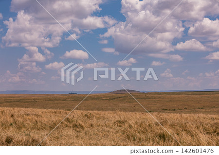 Kenya Photographers By Antony Trivet Photography Kenya Photographers By Antony Trivet Photography 142601476