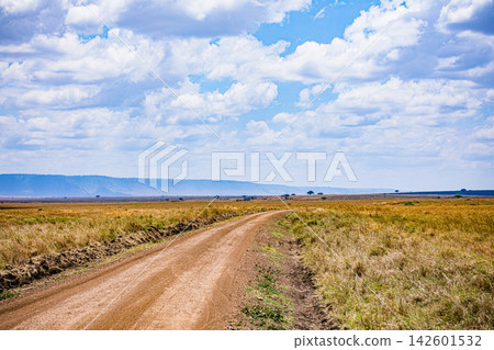Kenya Photographers By Antony Trivet Photography Kenya Photographers By Antony Trivet Photography 142601532