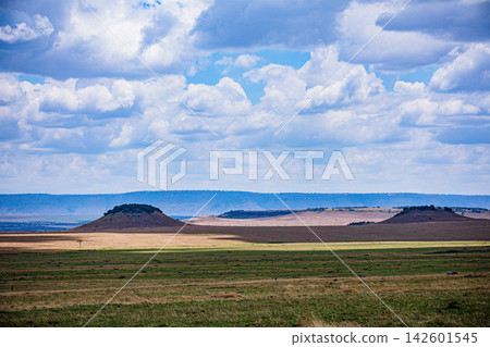 Kenya Photographers By Antony Trivet Photography Kenya Photographers By Antony Trivet Photography 142601545